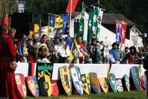 Larp Shields LARP